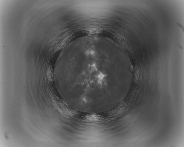 X0000100360316200806201610