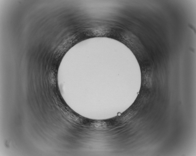 X0000100360317200806201610