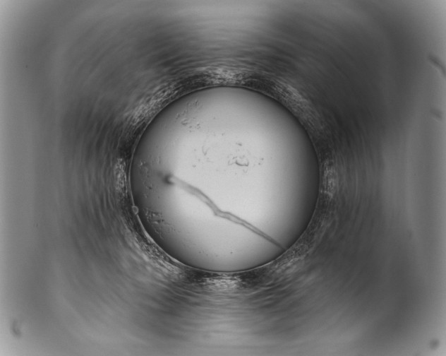 X0000100360318200806201610