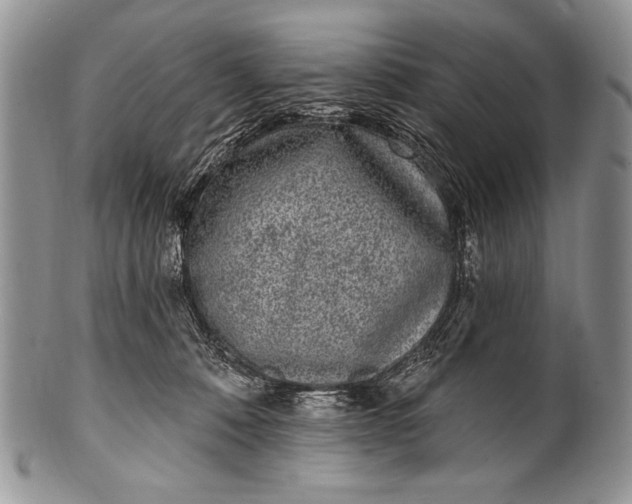 X0000100360320200806201610