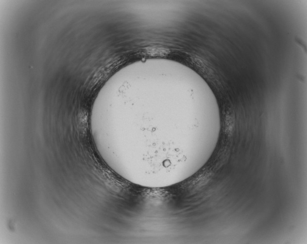 X0000100360321200806201610