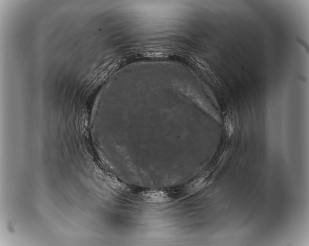 X0000100360322200806201610