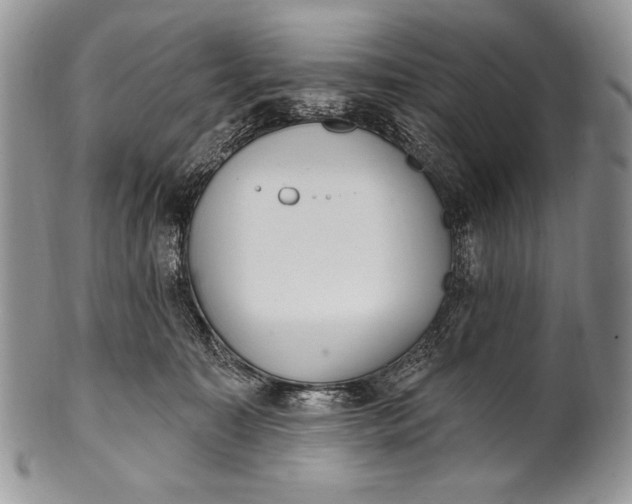 X0000100360323200806201610