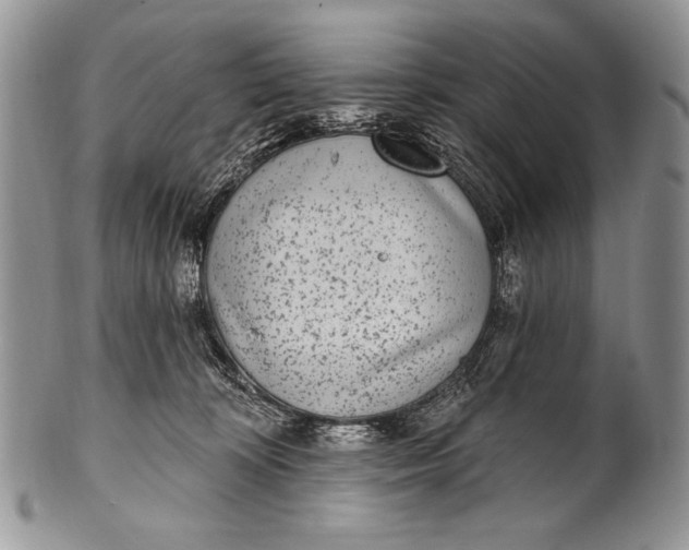 X0000100360324200806201610