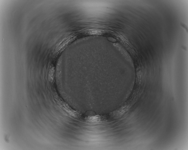 X0000100360325200806201610