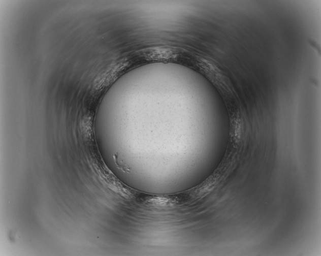 X0000100360326200806201610