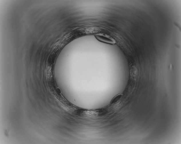 X0000100360327200806201610