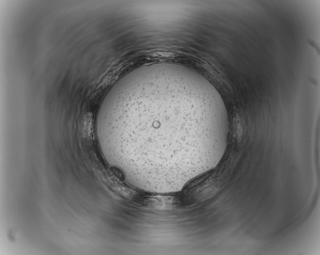 X0000100360328200806201610