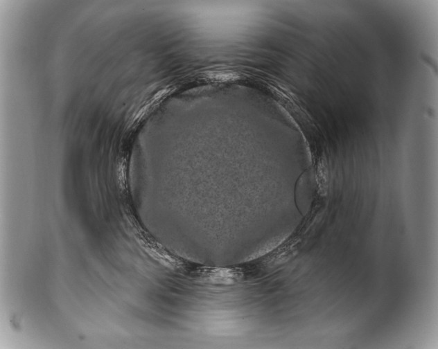 X0000100360330200806201610