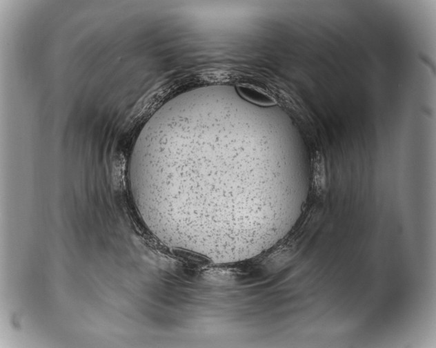 X0000100360332200806201610