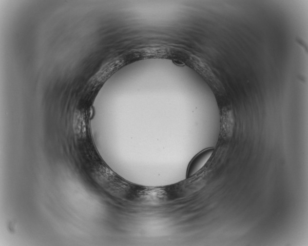 X0000100360333200806201610