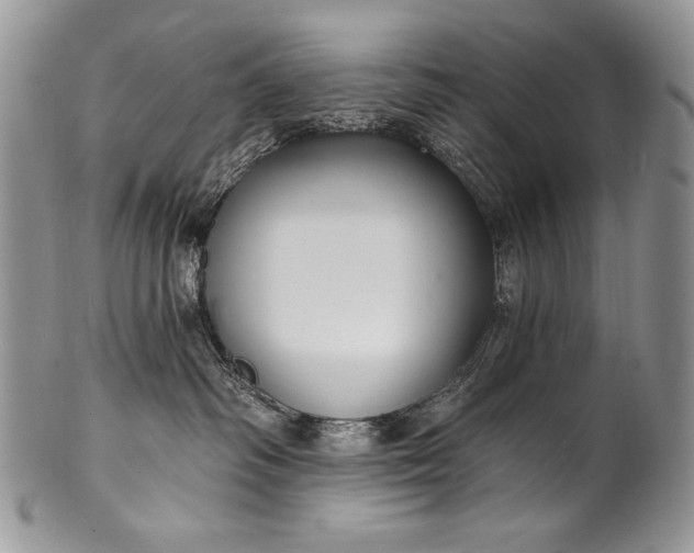 X0000100360334200806201610