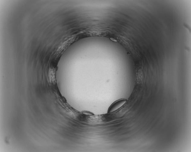 X0000100360335200806201610