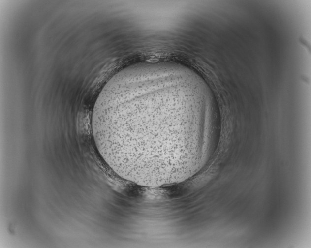 X0000100360336200806201610