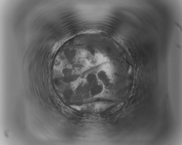 X0000100360337200806201609