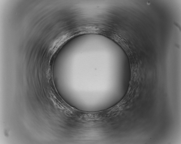 X0000100360338200806201609