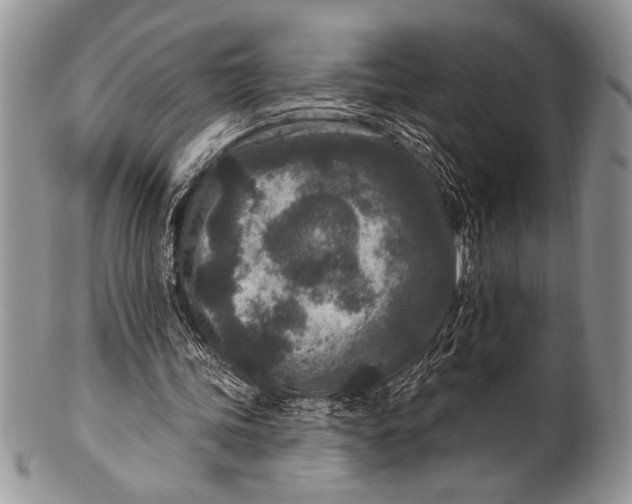 X0000100360339200806201609