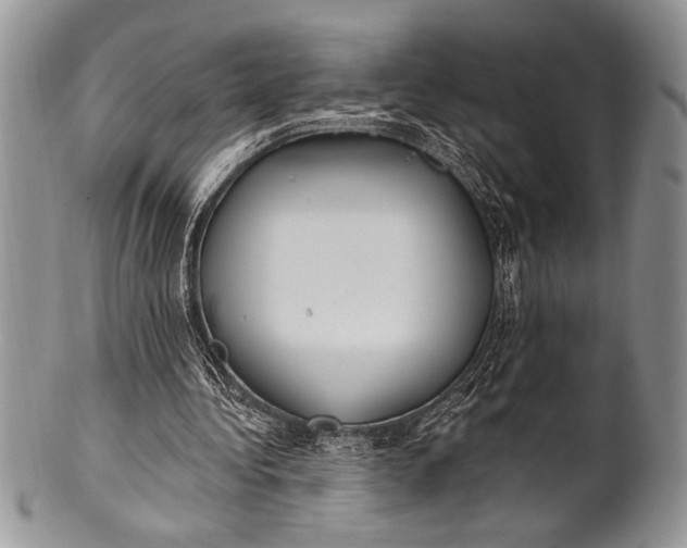 X0000100360340200806201609