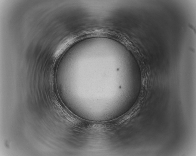 X0000100360341200806201609