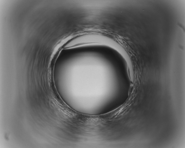 X0000100360342200806201609