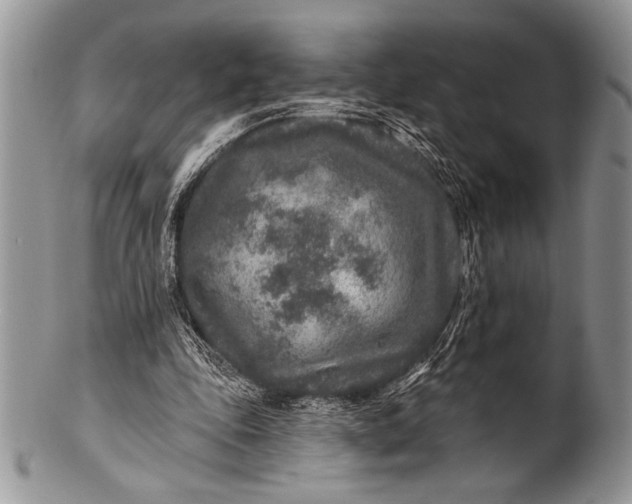 X0000100360343200806201609