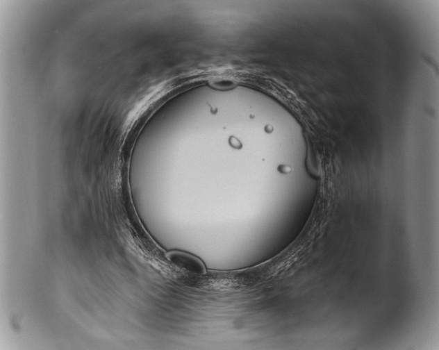 X0000100360344200806201609