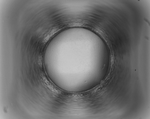 X0000100360345200806201609