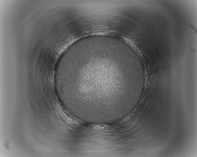 X0000100360346200806201609