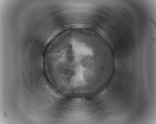 X0000100360347200806201609