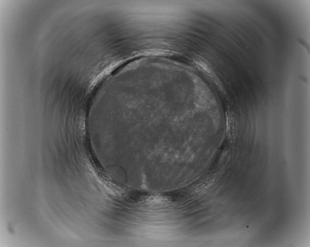 X0000100360348200806201610