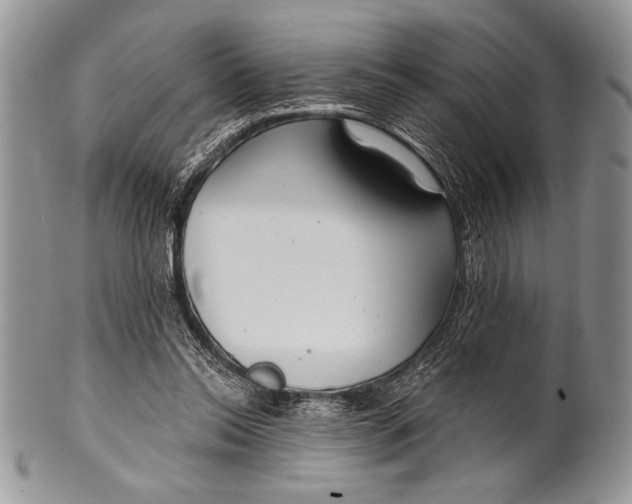 X0000100360350200806201610