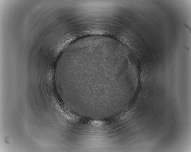 X0000100360352200806201610