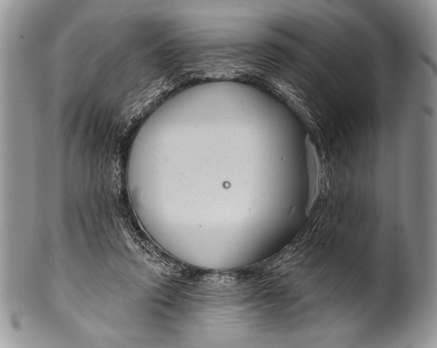 X0000100360354200806201610