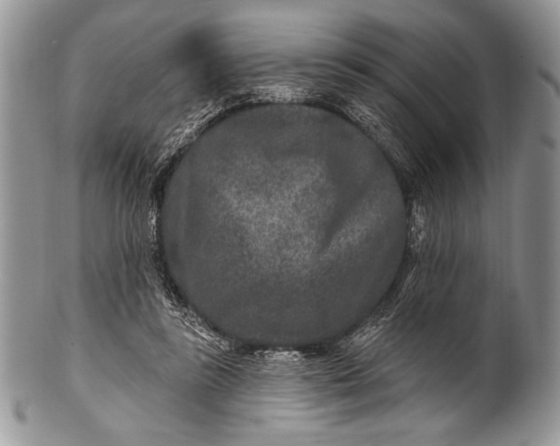 X0000100360355200806201610