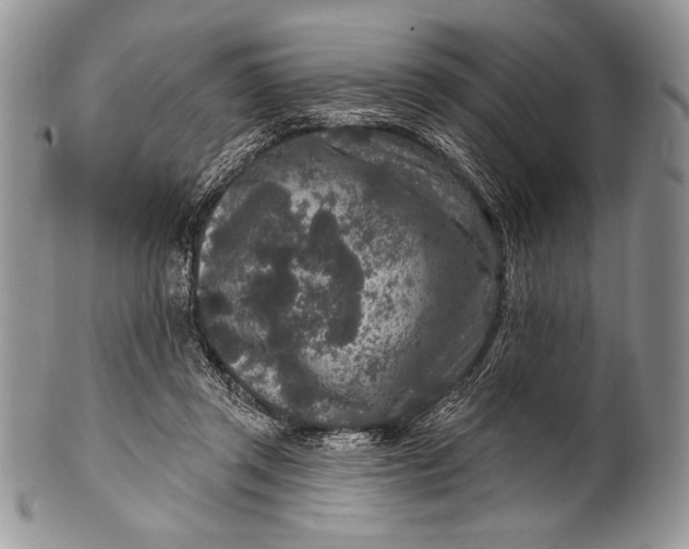 X0000100360357200806201610