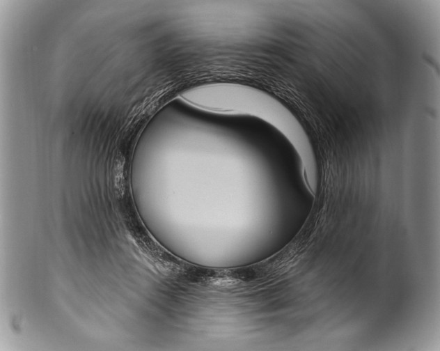 X0000100360360200806201610