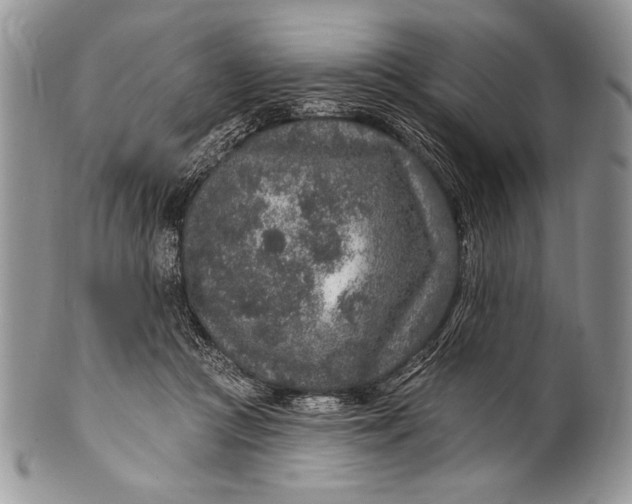 X0000100360361200806201610