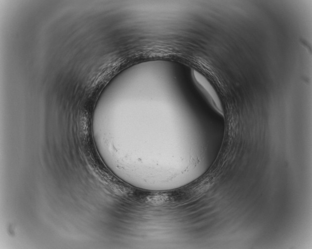 X0000100360362200806201610