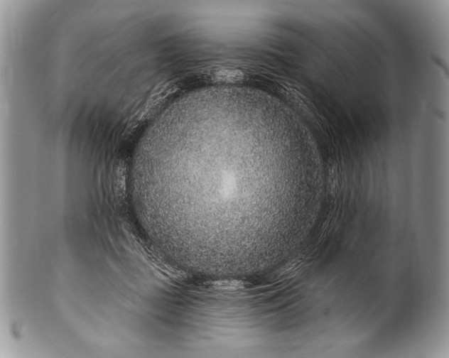 X0000100360363200806201610