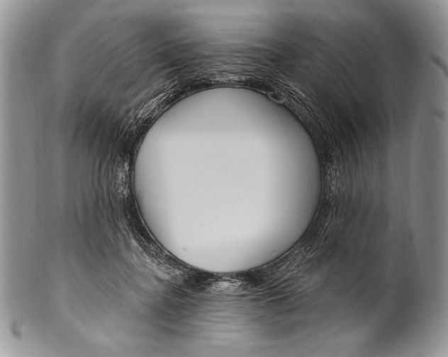 X0000100360364200806201610