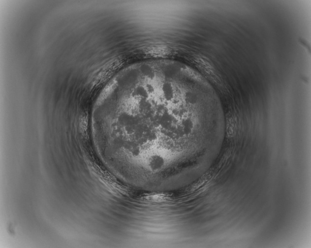 X0000100360365200806201610