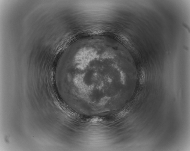 X0000100360366200806201610