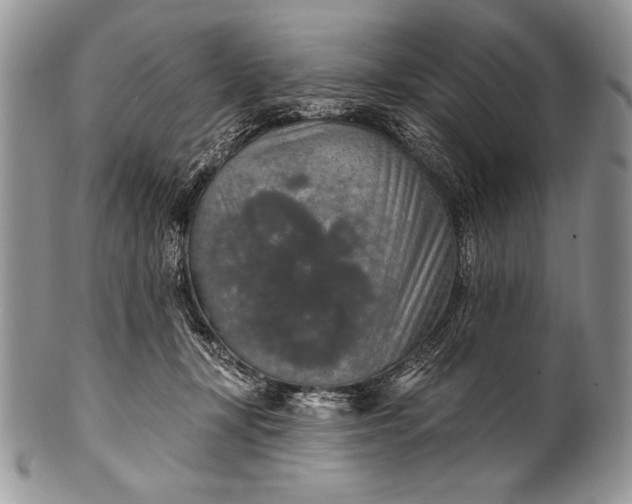 X0000100360367200806201610