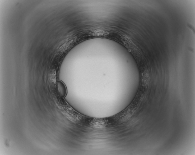 X0000100360368200806201610