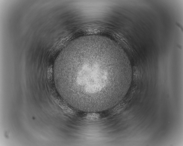 X0000100360369200806201610