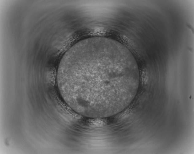 X0000100360370200806201610