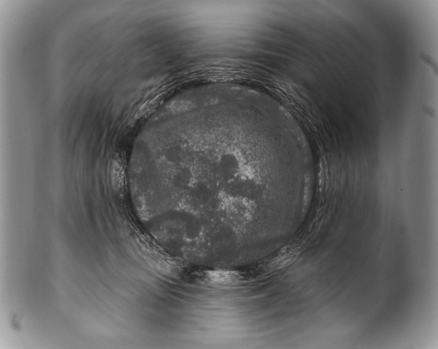 X0000100360371200806201610