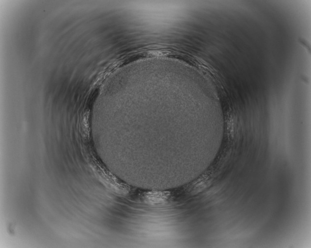 X0000100360373200806201610