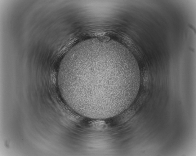 X0000100360374200806201610