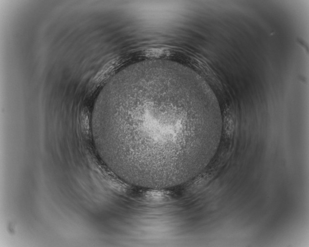 X0000100360375200806201610